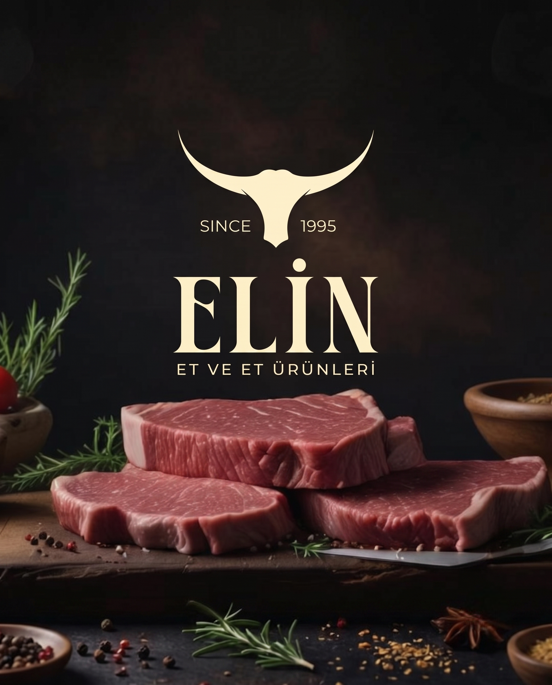 Elin Logo